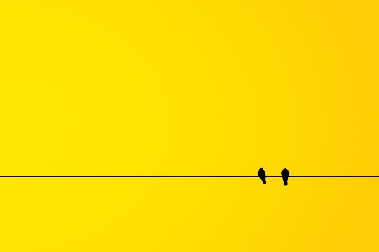 #004: Voll normal